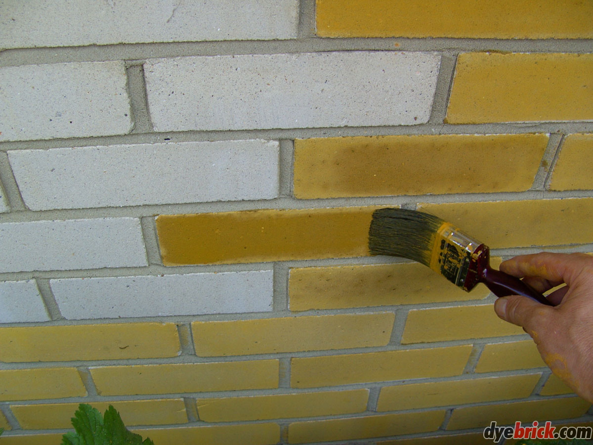 COLOUR CHANGES / The Mulberry Bush Locks Heath PART TWO Dyebrick Gallery